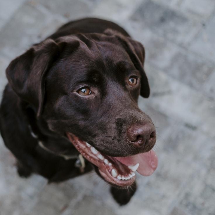 Kaveri Mehta, Lead Design Curator at Clear Path Studio, reviewing corporate floral arrangements